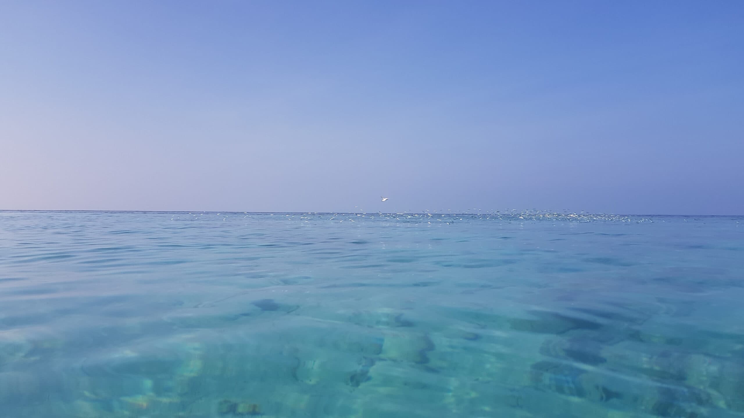 10 nights full board for two with speedboat transfers and 7 excursions