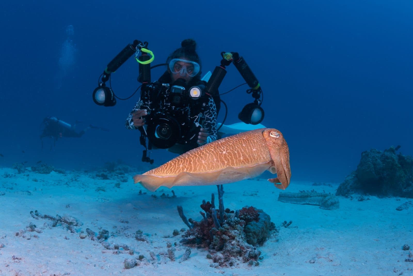 Learn to dive: PADI Open Water course, 4 nights half board, speedboat