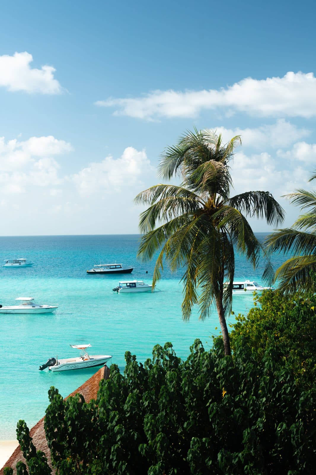 PADI Advanced Open Water course, 6 nights half board, speedboat