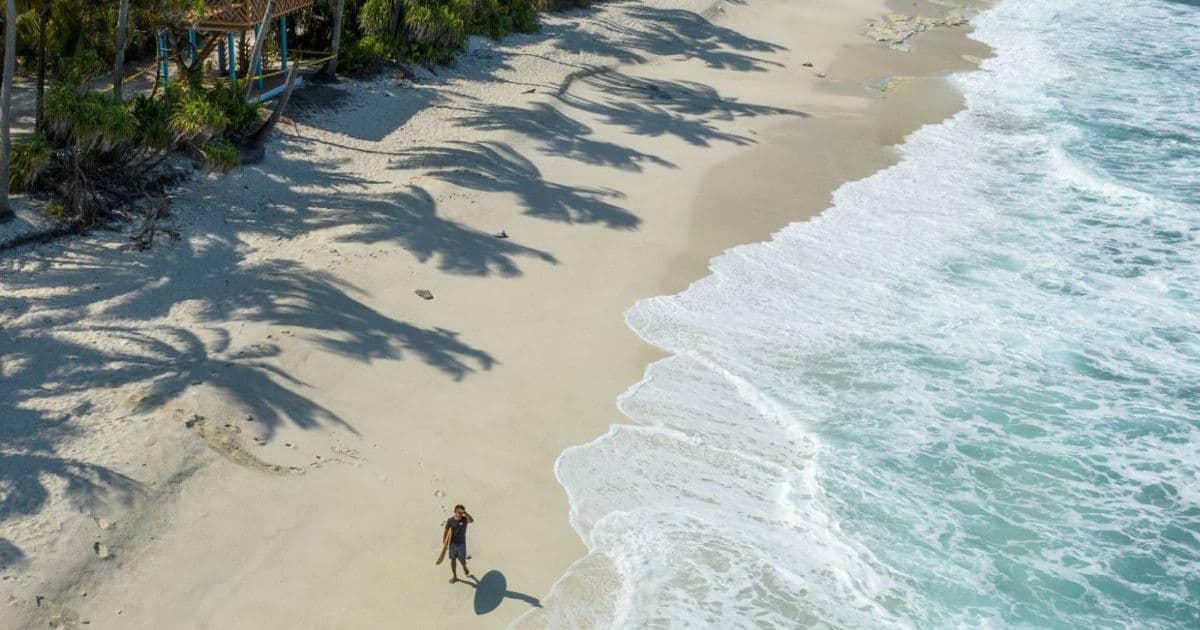 Tiger Shark Dive Package: 7 nights full board, 15 dives, flights included