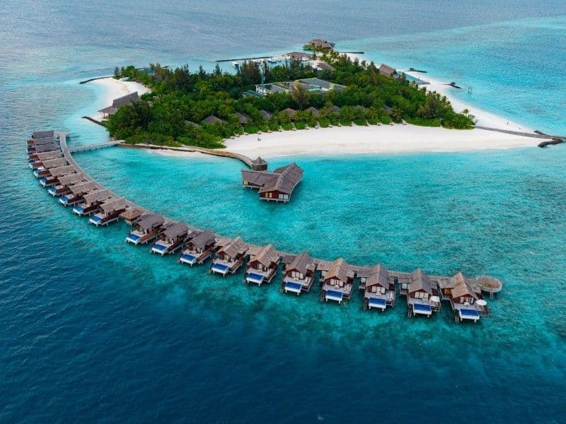 Romance in Paradise: sunset beach dinner, cake and wine for couples